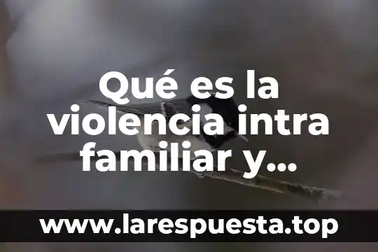 Que es un gasto familiar por rubro 7 Qué es la violencia intra familiar y enero