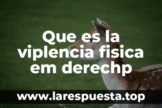 Qué es equipo educación física 4 Que es la viplencia fisica em derechp