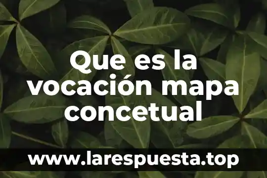 Que es lo que se maneja en un mapa mental 3 Que es la vocación mapa concetual