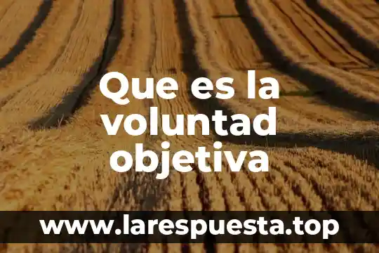Que es suicidio carta de voluntad 3 Que es la voluntad objetiva