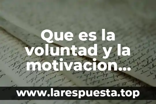 Que es la voluntad objetiva 6 Que es la voluntad y la motivacion personal