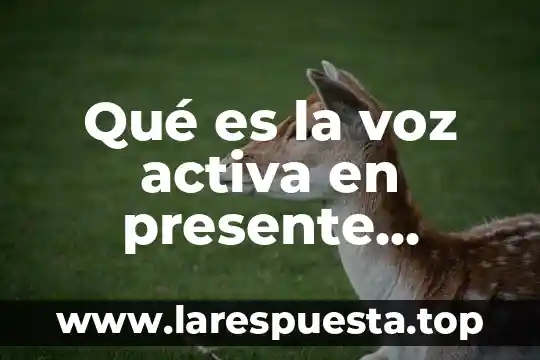 Que es la voz pasiva en una noticia yahoo 6 Qué es la voz activa en presente simple