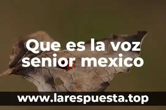 Que es la voz pasiva en una noticia yahoo 3 Que es la voz senior mexico