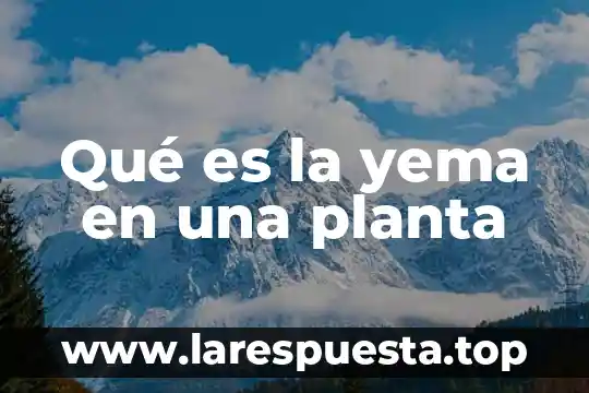 Qué es la yema en una planta