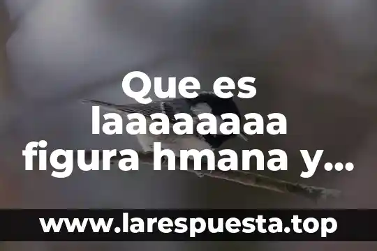 Que es laaaaaaaa figura hmana y para que sirve