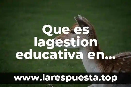 Que es lagestion educativa en mexico