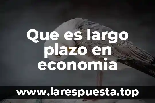 Que es largo plazo en economia