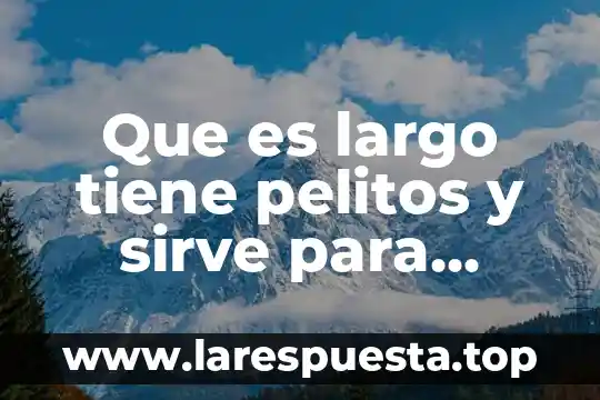 Que es largo tiene pelitos y sirve para hacer personas