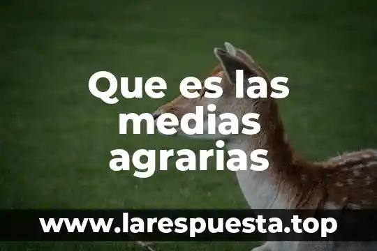 Que es las medias agrarias