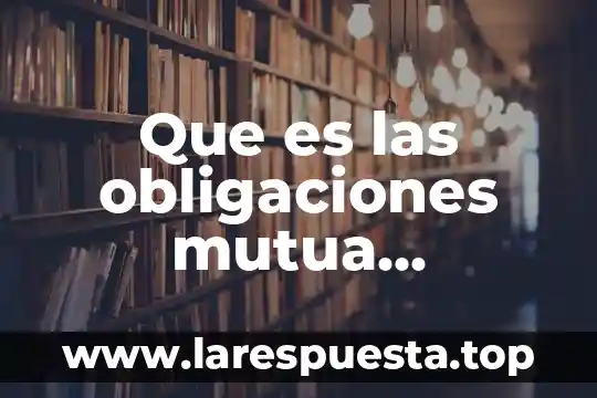 Qué es SMED significado 8 Que es las obligaciones mutua significado