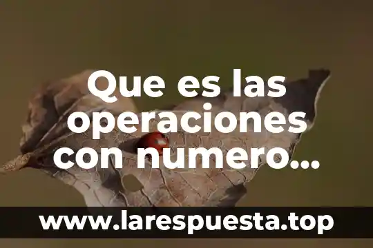 Que es las operaciones con numero decimal sumas