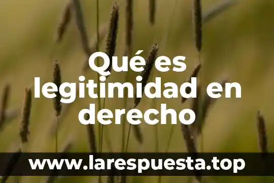 Qué es legitimidad en derecho