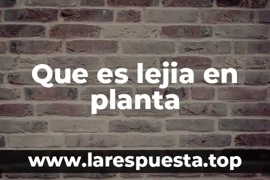 Que es lejia en planta