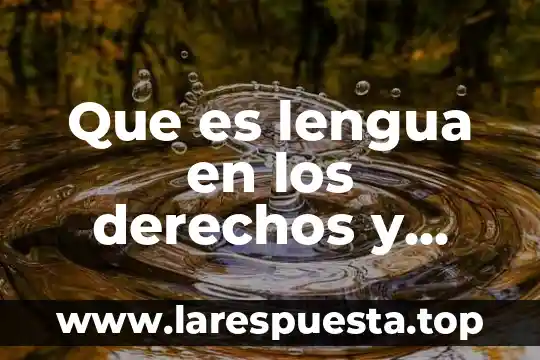 Que es lengua en los derechos y obligaciones