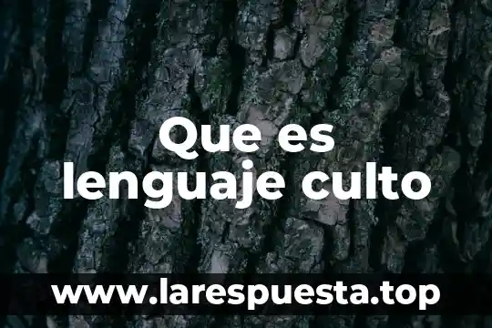 Que es lenguaje culto