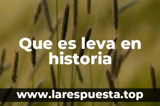 Que es clerical en historia 6 Que es leva en historia