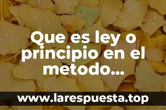 Que es contenido cientifico en educacion 3 Que es ley o principio en el metodo cientifico