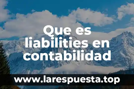 Que es contabilidad electrica 5 Que es liabilities en contabilidad