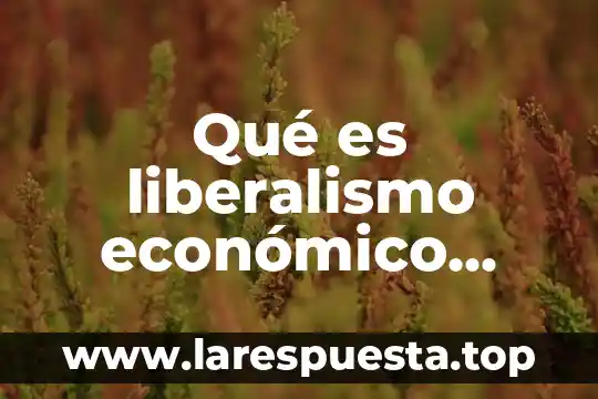 Que es la oferta agregada en el ciclo economico 4 Qué es liberalismo económico clásico