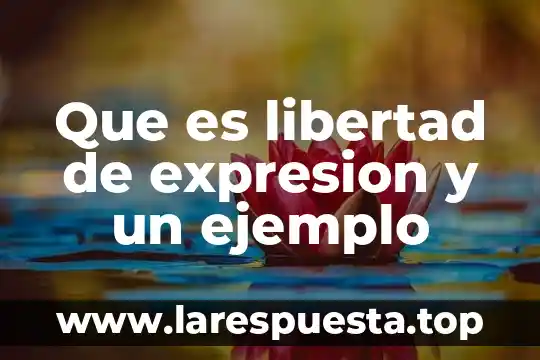 Que es libertad de expresion y un ejemplo