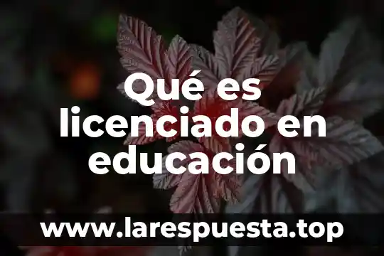 Que es lo que hace un licenciado en matematicas 8 Qué es licenciado en educación