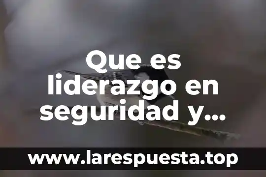 Que es la salud en el trabajo pemex 3 Que es liderazgo en seguridad y salud ocupacional