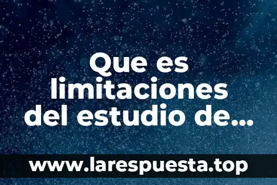 Que es limitaciones del estudio de economia digital y pymes