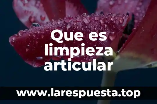 Qué es la limpieza de una computadora 8 Que es limpieza articular