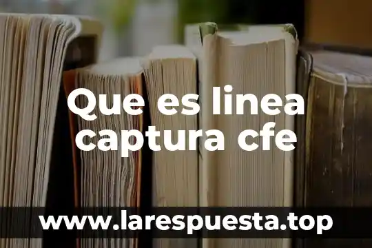 Que es aplicaciones en línea 3 Que es linea captura cfe