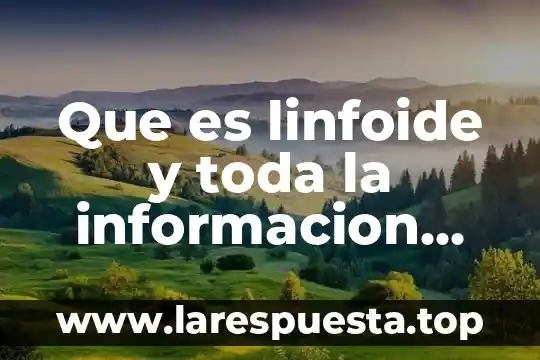 Que es linfoide y toda la informacion relevante