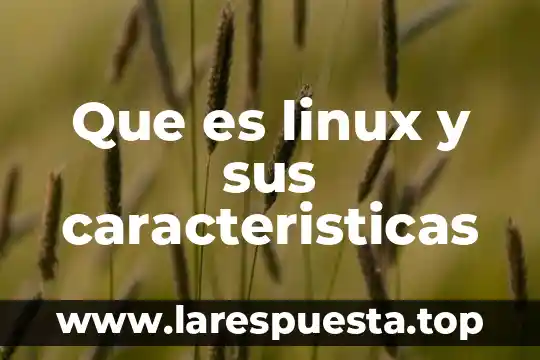 Que es linux y sus caracteristicas