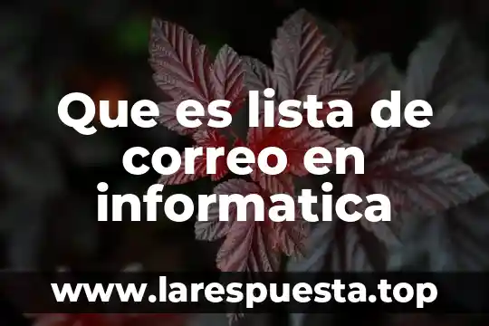 Que es papiro en informatica 4 Que es lista de correo en informatica