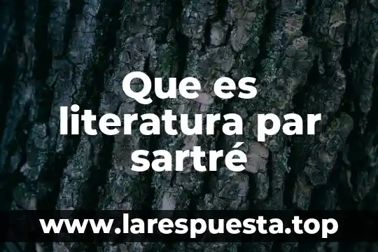 Que es extremos en literatura 5 Que es literatura par sartré