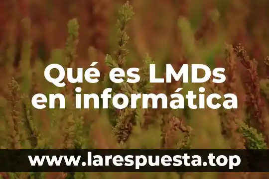 Qué es LMDs en informática