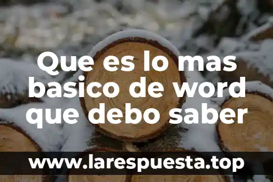 Que es mas barato uber didi o taxify 3 Que es lo mas basico de word que debo saber