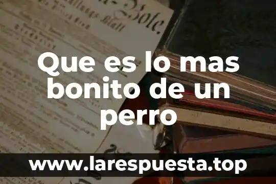 Que es lo mas bonito de un perro