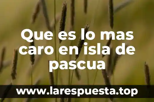 Qué es una administración estratégica 8 Que es lo mas caro en isla de pascua