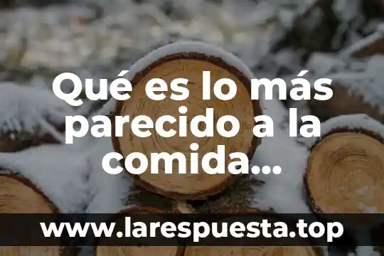 Qué es lo más parecido a la comida mexicana
