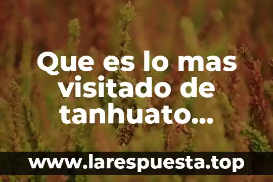 Que es mas largo que un tren 3 Que es lo mas visitado de tanhuato michoacan