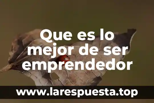 Qué es el proceso emprendedor 6 Que es lo mejor de ser emprendedor