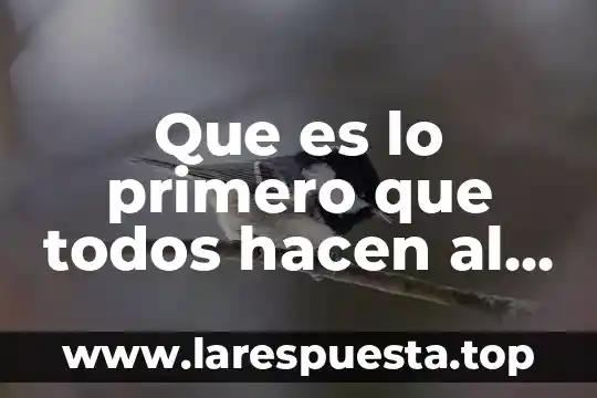 Meseros que es lo que hacen 8 Que es lo primero que todos hacen al despertar