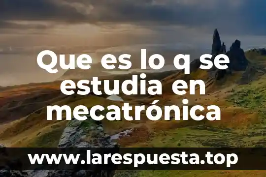 Que es llo que estudia el origen de los apellidos 7 Que es lo q se estudia en mecatrónica