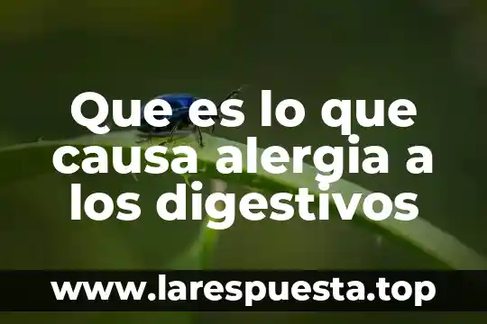 Que es la continencia de la causa 7 Que es lo que causa alergia a los digestivos