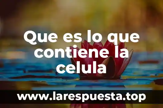 Que es una celula procariota de dibujo para coloriar 3 Que es lo que contiene la celula