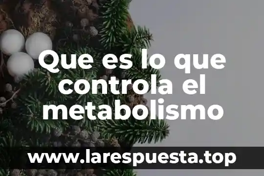 Qué es metabolismo celular 8 Que es lo que controla el metabolismo