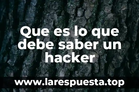 Que es lo que debe tener una base de minecraft 5 Que es lo que debe saber un hacker