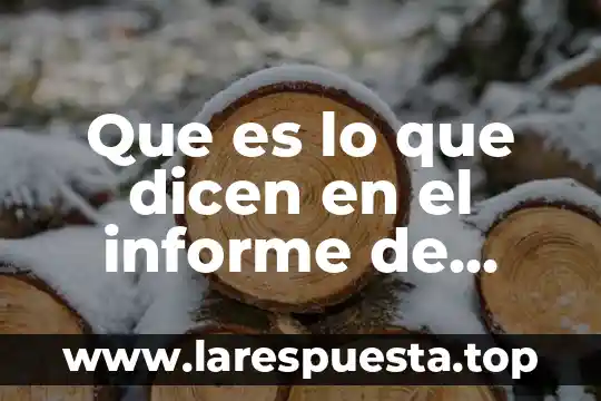 Que es lo que dicen en el informe de gobierno