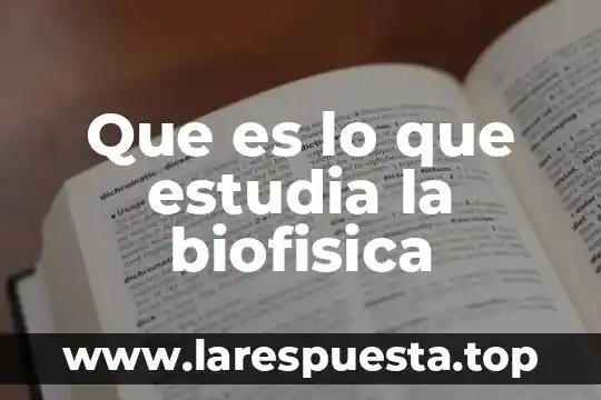 Que es una gráfica en español 8 Que es lo que estudia la biofisica