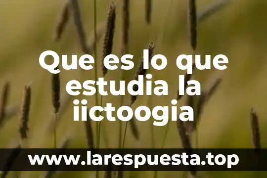 Que es llo que estudia el origen de los apellidos 6 Que es lo que estudia la iictoogia