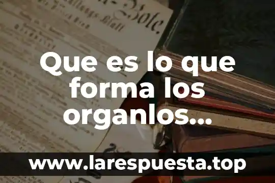 Qué es tacita o forma expresa 6 Que es lo que forma los organlos celulares